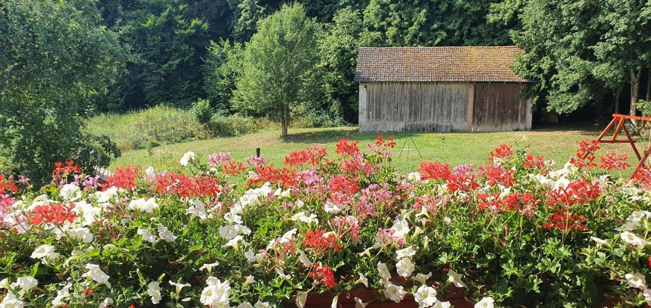 Gasthaus Zum Schneider Pottenstein Luaran gambar
