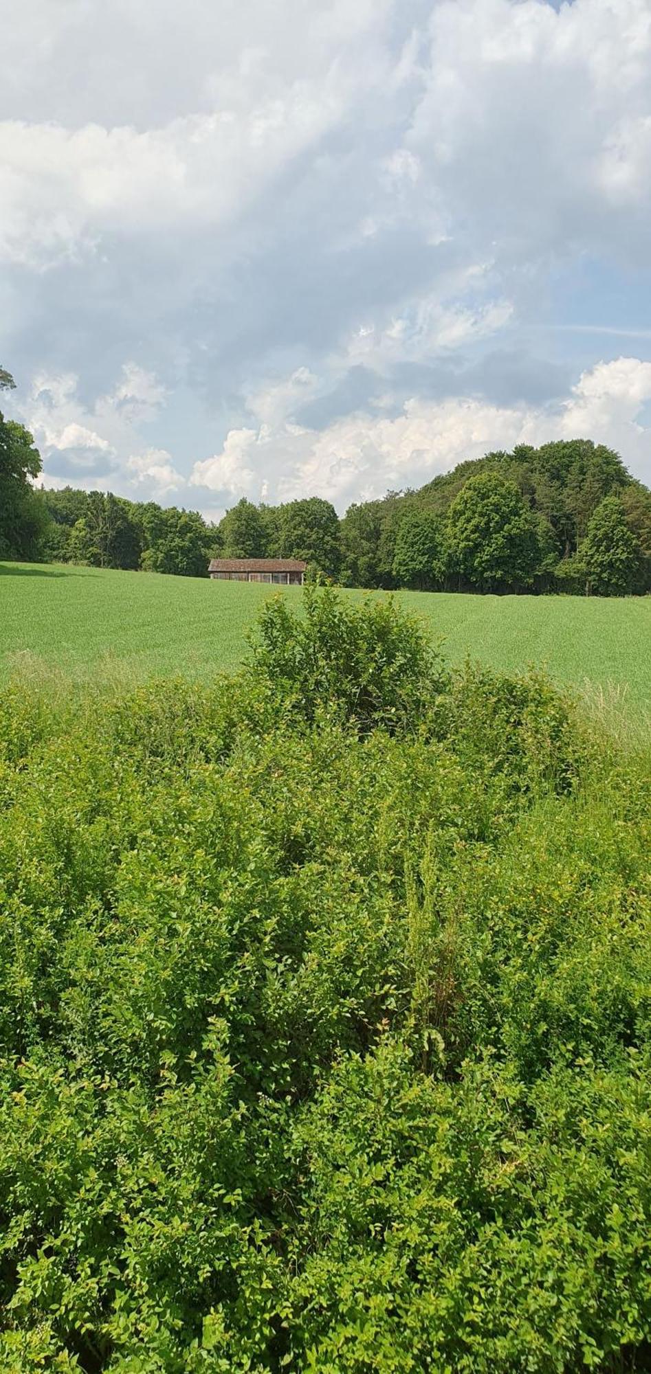Gasthaus Zum Schneider Pottenstein Luaran gambar